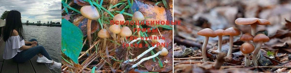 кристаллы Киреевск
