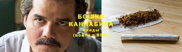 дживик Кинешма