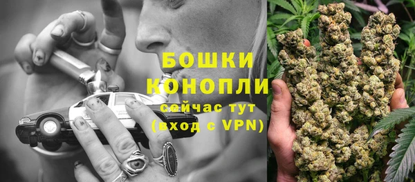 дживик Кинешма