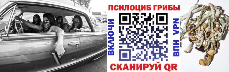 Псилоцибиновые грибы мицелий  Купить закладки  Пермь 