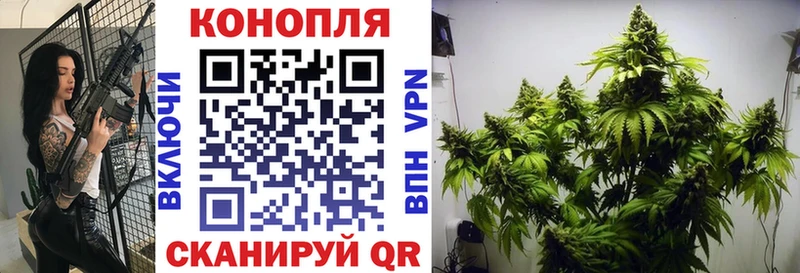 Бошки Шишки VHQ  Купить где  Пермь 